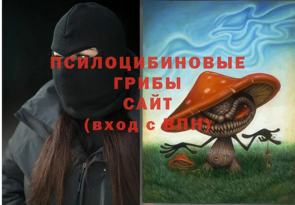 a pvp Володарск